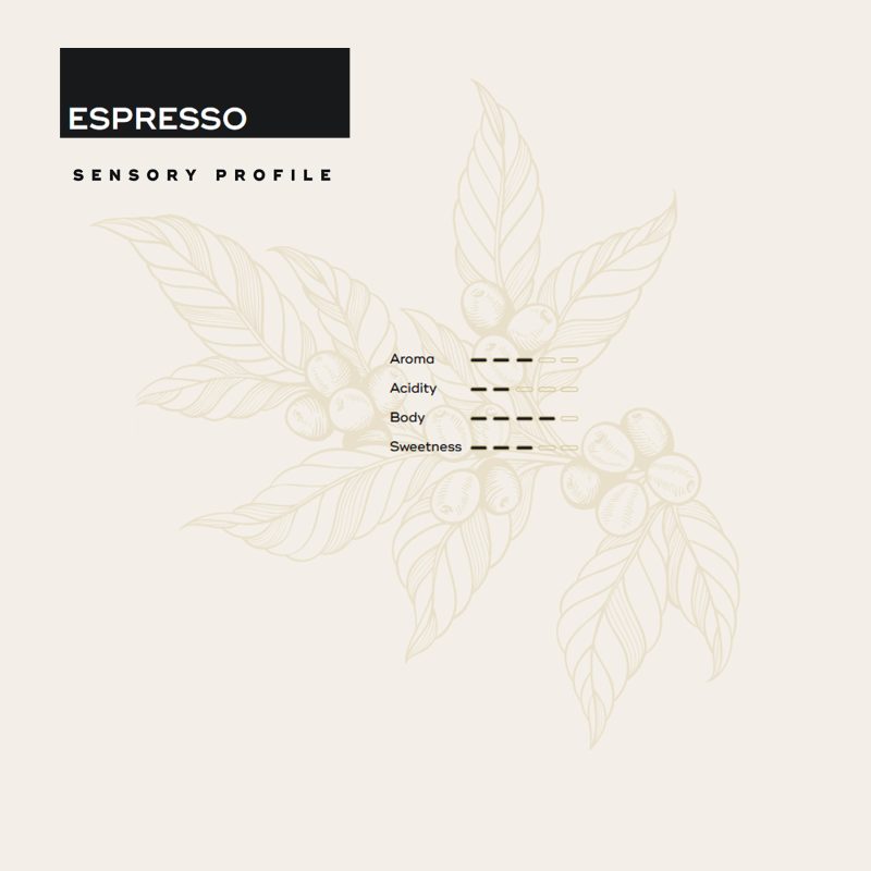 Sensory profile espresso epica coffee capsules