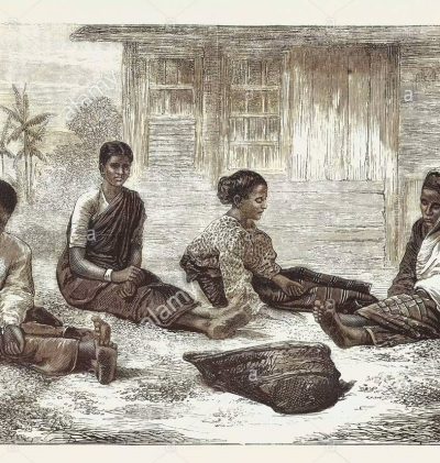 Ceylon coffee history
