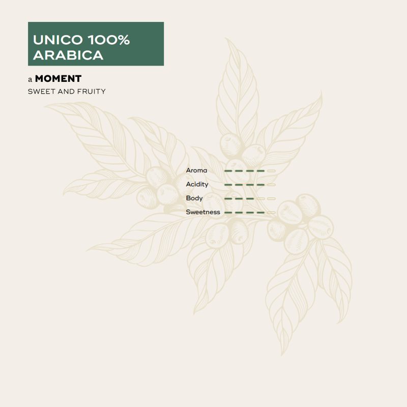 Sensory profile unico nespresso compatible coffee capsules