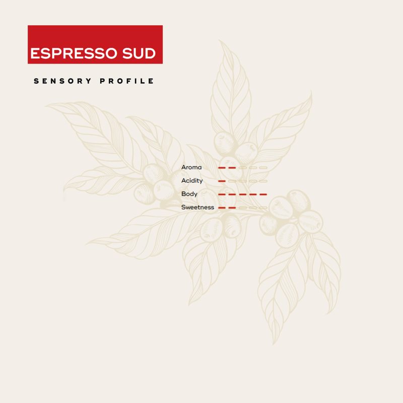 Sensory profile espresso epica coffee capsules-ESspresso sud DARK ROASTED 