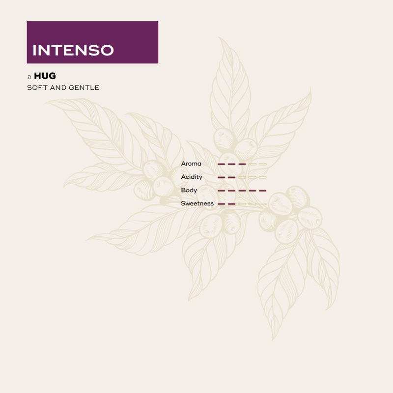 Sensory profile intenso nespresso compatible coffee capsules