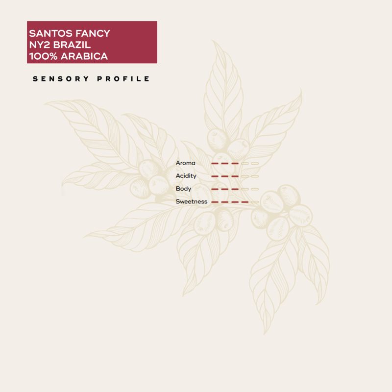 Sensory profile santos fancy brazil epica coffee capsules