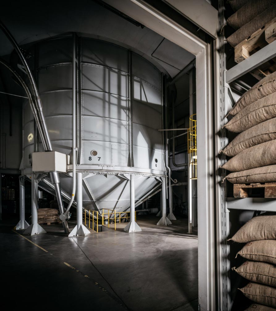 coffee production