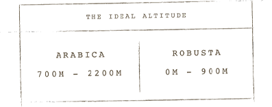 Coffee Altitude 