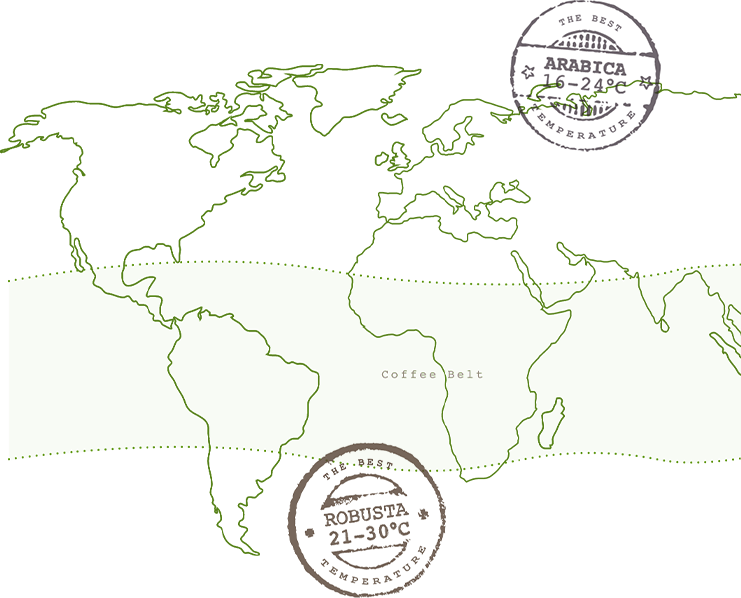 Coffee plantations
