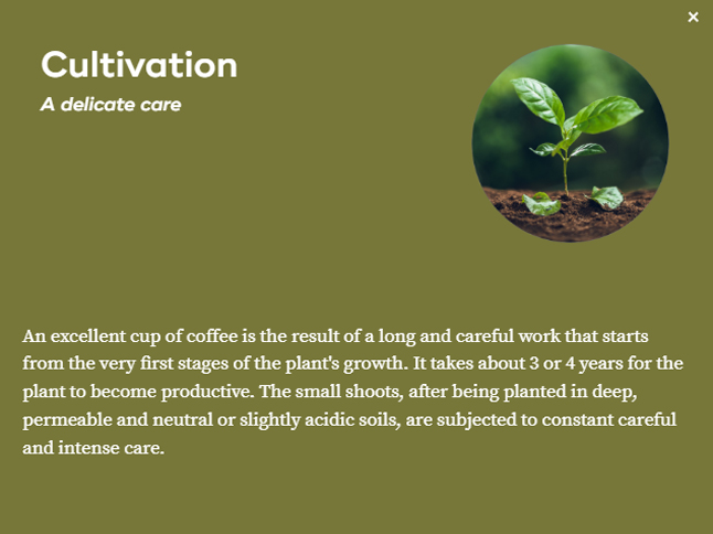 coffee cultivation