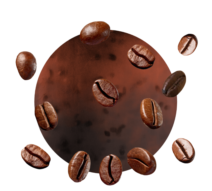 Coffee bean