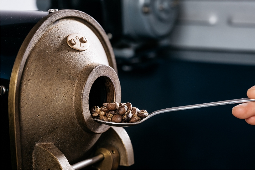 hausbrandt-production coffee bean