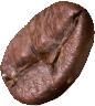coffee bean